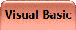 Visual Basic