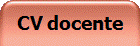 CV docente