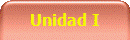 Unidad I
