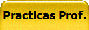 Practicas Prof.