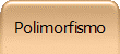 Polimorfismo