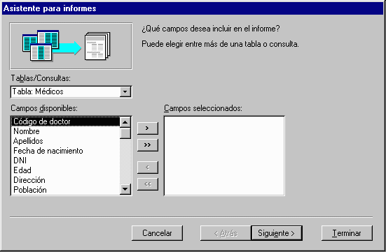 Ventana Asistente para informes, seleccionando campos para agrupamiento